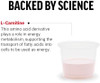 Force Factor L Carnitine Supplement Liquid Lcarnitine 3000 Mg To Help Turn Fat Into Energy Support Muscle Recovery And Boost Cellular Energy Maximum Strength Nongmo Berry Flavor 16 Oz.