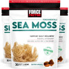 Force Factor Sea Moss Soft Chews Support Immunity & Heart Health Irish Sea Moss Superfood & Antioxidants Supplement Nongmo Gluten Salted Caramel Flavor 90 Soft Chews 3 Packs 18 Ounces