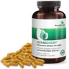 Futurebiotics Stressassist Ltheanine Ashwagandha And Rhodiola Rosea Stress Complex Natural Nutritional Stress Function 90 Vegetarian Capsules