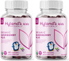 Hyland'S Naturals Kids Organic Elderberry Plus Gummies Organic Black Elderberry With Zinc And Vitamin C Immune Support For Children 48 Vegan Gummies (2 Pack)