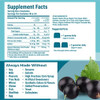 Hyland'S Naturals Kids Organic Elderberry Plus Gummies Organic Black Elderberry With Zinc And Vitamin C Immune Support For Children 48 Vegan Gummies (2 Pack)