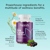 Hyland'S Rest And Fortify Zen Sleep Aid And Immune Support 42 Vegan Gummies With Melatonin And Ltheanine For Sleep Support And Organic Black Elderberry Vitamin C And Zinc