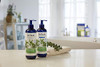 Dr. Teal'S Eucalyptus & Spearmint Conditioner (1 Bottle 16 Fl Oz) Volume & Bounce Essential Oils Brings Dull Looking Hair Back To Life Plant Proteins Strengthen Hydrate & Keep Hair Healthy