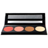 L.A. Girl Beauty Brick Blush Collection Spice Gbl573
