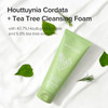 Mary&May Houttuynia Cordata + Tea Tree Deep Clean Foam 40.7% Heartleaf + 6.8% Tea Tree Rich Cream Foam Pore Cleanser with Hyaluronic Acid  Korean Face Wash for Oily Sensitive Skin 5.07 fl oz