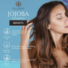Mill Creek Jojoba Shampoo 14 Oz 2 Pk