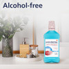 Parodontax Active Gum Health Mouthwash Antiplaque And Antigingivitis Mouthwash Mint 16.9 Fl Oz
