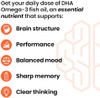 Lifeseasons Neuroq Memory & Focus With Dha400 Boosts Cognitive Performance & Healthy Brain Function Neuroprotective Formula By Dr. Dale Bredesen 120 Capsules