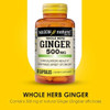Mason Natural Whole Herb Ginger 500 Mg 2 Month Supply Natural Herbal Supplement 60 Capsules