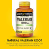 Mason Natural Valerian Root 500 Mg 6 Month Supply Natural Sleep Aid Promotes Healthy & Restful Sleep Herbal Supplement 3 Pack