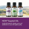 Now Foods Essential Oils Muscle Zen Essential Oil Blend For Sports Massage Steam Distilled 1Ounce
