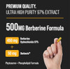 Nutrachamps Complete Respiratory & Metabolic Support: Lung Cleanse & Berberine Duo