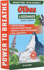 Olbas Lozenges Maximum Strength Black Currant Flavor 24 Lozenges (Pack Of 2)