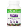 Paradise Herbs, Mucuna, 60 Vegetarian Capsules (250 mg per Capsule)