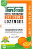 Therabreath Dry Mouth Lozenges With Zinc 100 Lozenges Mandarin Mint 100 Count (Pack Of 2)