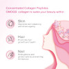 OMOGS Collagen Peptides Capsule Naturally Sourced Hydrolyzed Collagen with prebiotic and Cranberry Extract  Hair Skin Nail Joint Digestive Health and Immune Support Non GMO 100 Capsule