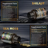 Sound Health Supplements Wild Organic Irish Sea Moss and Shilajit - 8000mg Sea Moss 10000mg Shilajit Ashwagandha 2000mg Ginseng Vitamin C Vitamin D3 Black Seed Oil - 2 Bottles of 60 Capsules