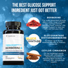 Vitauthority Berberine with Ceylon Cinnamon Supplements  High Absorption Dihydroberberine for Balance and Support  Vegan Powerful AMPk Activator and Antioxidant  30 Servings