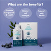 HairZooki® High Strength Biotin Zinc & Selenium Wrapped in Lipids For Maximum Absorption | Alcohol Free Vegan Soy Free Natural Ingredients | Support Hair Skin & Nail (Blueberry 14 Servings)