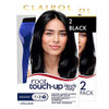 Clairol Nice'N Easy Permanent Hair Dye 2 Black Hair Color Root Touch-Up Kit With Brush 2 Packs