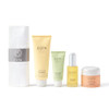 Espa Golden Glow Collection Worth 310