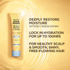 Garnier Whole Blends Honey Water Cream 100 Hours Moisture Lock Dry Hair Scalp Honey Nectar And Floral Water Pack Of 2