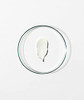 Grown Alchemist Detox Conditioner 0.1 500 Ml Grown Alchemist Detox Conditioner 0.1 500 Ml