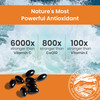 Nutrex Hawaii BioAstin Hawaiian Astaxanthin - 4mg, 60 Softgels - Farm-Direct Premium Antioxidant Supplement to Support Eye Skin Joint & Immune System Health - Non-GMO & Gluten-Free
