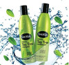 Shikai - Natural Tea Tree Oil Conditioner Made With Essential Oils Of Peppermint & Tea Tree To Refresh & Stimulate Hair & Scalp Soap- Alternative (12 Ounces Pack Of 2)