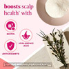 Viviscal Scalp Nourish Supplement Blend Of Nutrients For Scalp Health & Hair Follicles Fortify Hair'S Natural Beauty Foundation For Healthy Hair Growth Vitamins 30Ct - 1 Month