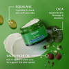 Weleda Skin Food Face Care Nourishing Night Cream 1.3 Fluid Ounce Plant Rich Moisturizer With Sacha Inchi Oil Cica And Squalane