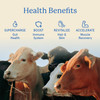 Equip Foods Core Bovine Colostrum Gummies - Delicious 1g Per Seving Grass Fed Colostrum Supplement - Gut Health Immunity Recovery Hair & Skin - 60 Bovine Colostrum Gummies 30 Servings Raspberry