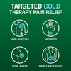 Biofreeze Dry Stick Mess-Free Relief for Neck Shoulder Knee Hip Hand & Joint Cooling Menthol Pain Relief Stick 100+ Uses