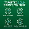 Biofreeze Pain Relief Spray Arthritis Pain Reliever Knee & Lower Back Pain Relief Sore Muscle Relief Neck Pain Relief Pharmacist Recommended FSA Eligible 4 FL OZ Biofreeze Menthol Spray