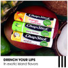 Chapstick Lip Care Bundle – Tropical Paradise Collection With Mango Sunrise Key Lime And Aloha Coconut Lip Balm 0.15 Oz Ea (5 Piece Set)