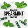 Chapstick Classic Spearmint Lip Balm Tubes Spearmint Chapstick For Lip Care Father'S Day - 0.15 Oz X 12
