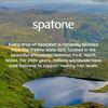 4 PACK Spatone  Spatone 100% Natural Iron Sup  28 sachet  4 PACK BUNDLE