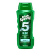 Irish-Spring 5-In-1 Shampoo Conditioner Body Wash Face Wash And Deodorizer 18 Oz (Pack Of 4)