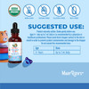MaryRuth Organics Kids Probiotic Liquid Drops | USDA Organic Probiotics for Digestive Health | Ages 4+ Gut Health & Immune Support Supplement | Overall Health | Vegan | Non-GMO | 1 Fl Oz
