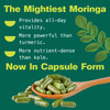 Kuli Kuli Organic Moringa Capsules [60 Count] - Premium Moringa Leaf Powder Capsules - Nutrient-Dense Superfood for Energy Vitality and Wellness