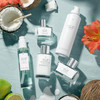 Le Monde Gourmand Lait de Coco Perfume Oil  1 fl oz  30ml  Fresh Creamy  Clean with Vanilla and Coconut Fragrance Notes