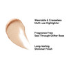 JAVIN DE SEOUL Wink Eye Shimmer I Light - Versatile Illuminator Highlighter Buildable Eye Shadow Adds Radiant Glow for Eyes and Face 6g (02 Now Burnt)