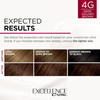 L'Oreal Paris Excellence Creme Permanent Triple Care Hair Color 4G Dark Golden Brown Gray Coverage For Up To 8 Weeks All Hair Types Pack Of 1