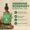 Organic Essential Rosemary Oil For Hair Growth Thin Hair Healthy Scalp And Skin (2.03 Oz)