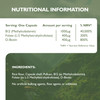 Barefoot Nutrition - B12 Complete High Strength Supplement Methylated B 12 (1000µg) - with Cofactors Methyl folate (400µg) & D-Biotin (400µg) - 60 x 1 A Day Vegan-Friendly Capsules