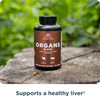 Ancient Nutrition Organ Supplements Grass-Fed and Wild Organ Complex Capsules  Liver  Heart  Kidney Supports Organ Cognitive  and Immune System Health 180 Ct