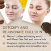O Naturals Arabica Coffee Exfoliating Body Scrub Exfoliator - Anti Cellulite Dead Sea Salt Coffee Scrub For Face Body Legs & Foot Best Body Exfoliator & Cellulite Remover - Coffee Body Scrub