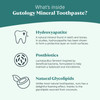 Gutology Mineral Hydroxyaptite Toothpaste 120ml Microbiome Friendly Fluoride Free Toothpaste Suitable for Adults & Children for Sensitive Teeth - Wild Mint Gutology Mineral Hydroxyaptite Toothpaste 120ml Microbiome Friendly Fluoride Free Toothpaste Suitable for Adults & Children for Sensitive Teeth - Wild Mint