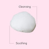 Foaming Feminine Wash For Intimate Areas Self-Foaming Pump Ph Balanced Cleanses And Refreshes Made With Natural And Organic Ingredients Dermatologist & Gynecologist Tested (6.7 Fl.Oz / 200Ml)