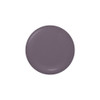 Dazzle Dry Nail Lacquer (Step 3) - Anticipation - An Opaque Dark Slate Gray With Purple Undertones. Full Coverage Cream. (0.5 Fl Oz)